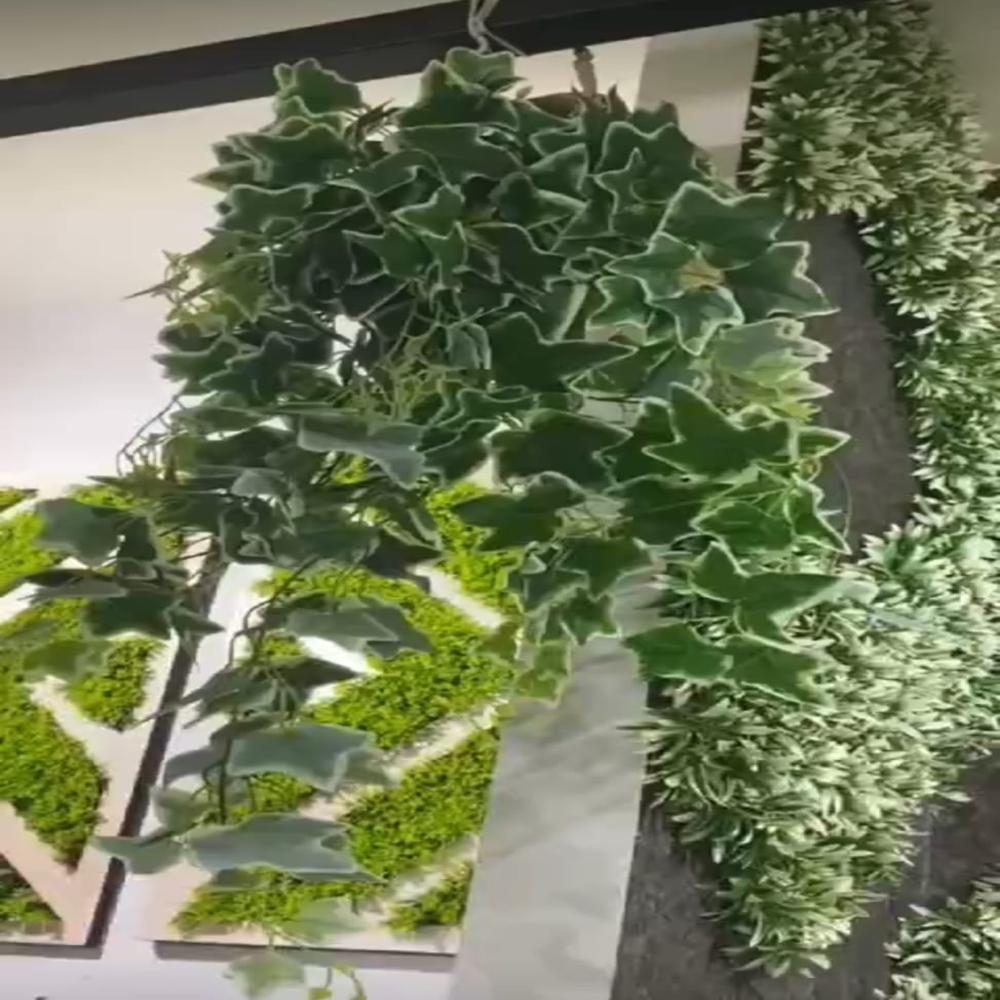 Artificial  Algerian Ivy Creepers Plant