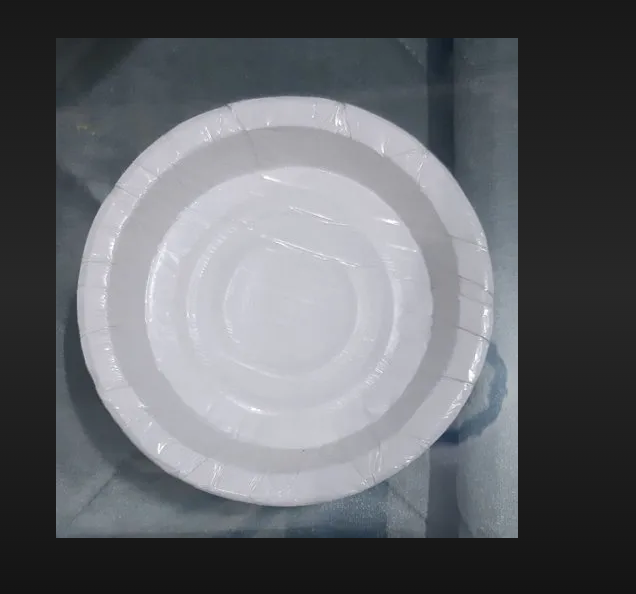 White Paper Plate 7"