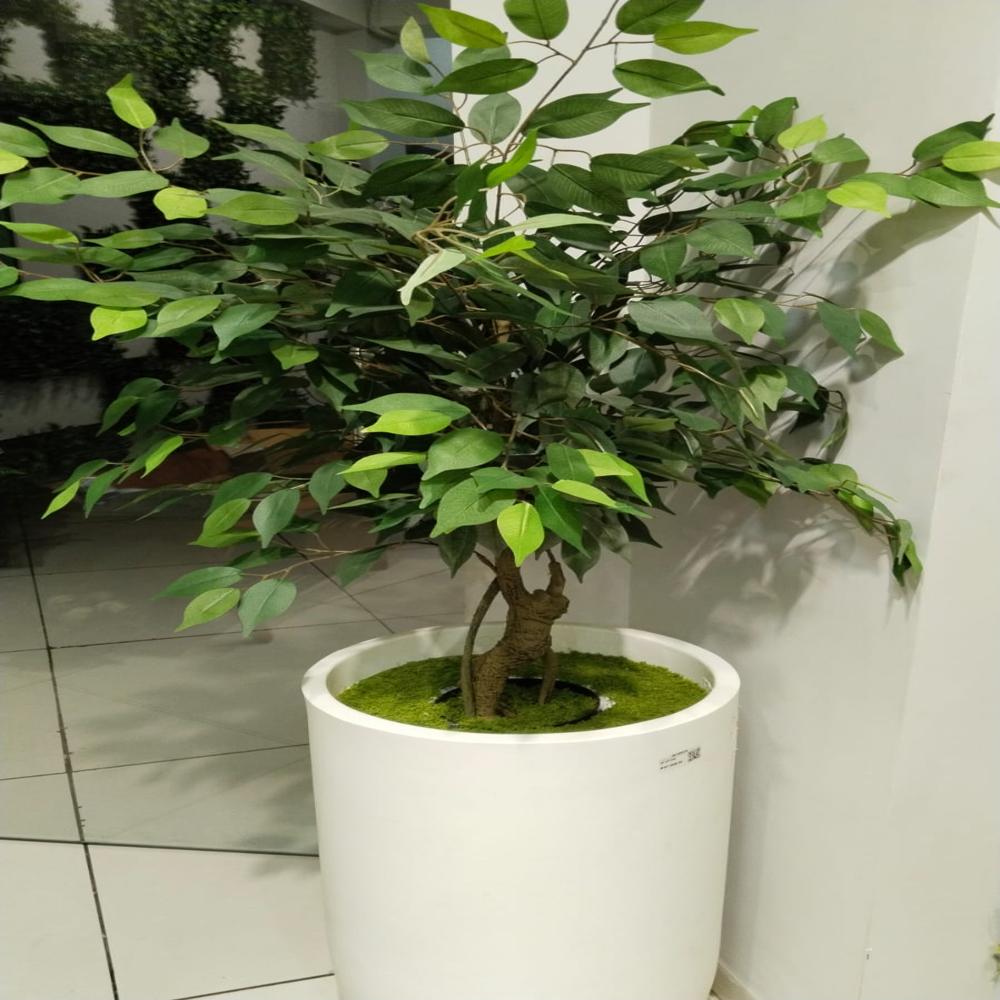 SG-TRS-180 Artificial Green Ficus Plant