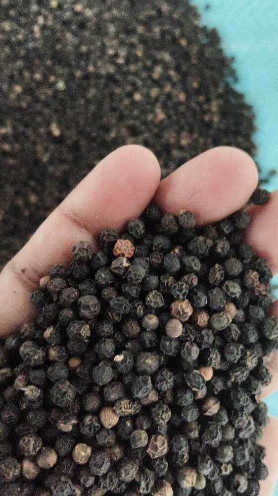 Black Pepper Bulk (50kg bag)
