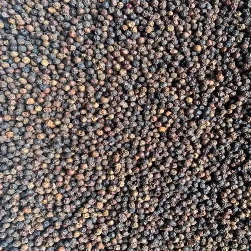 Black Pepper 