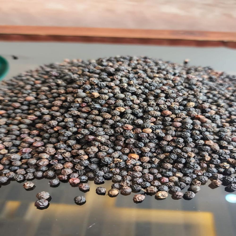 Black Pepper Bulk (25kg bag)
