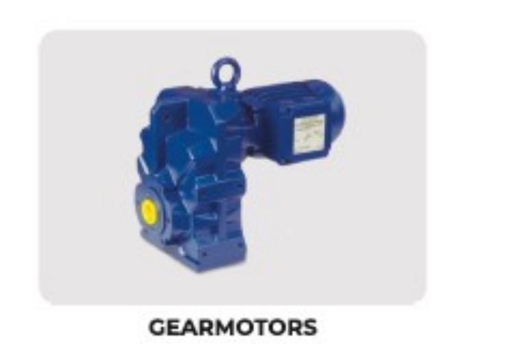Gear Motor