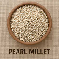 Pearl Millet - Admixture (%): 1% Max