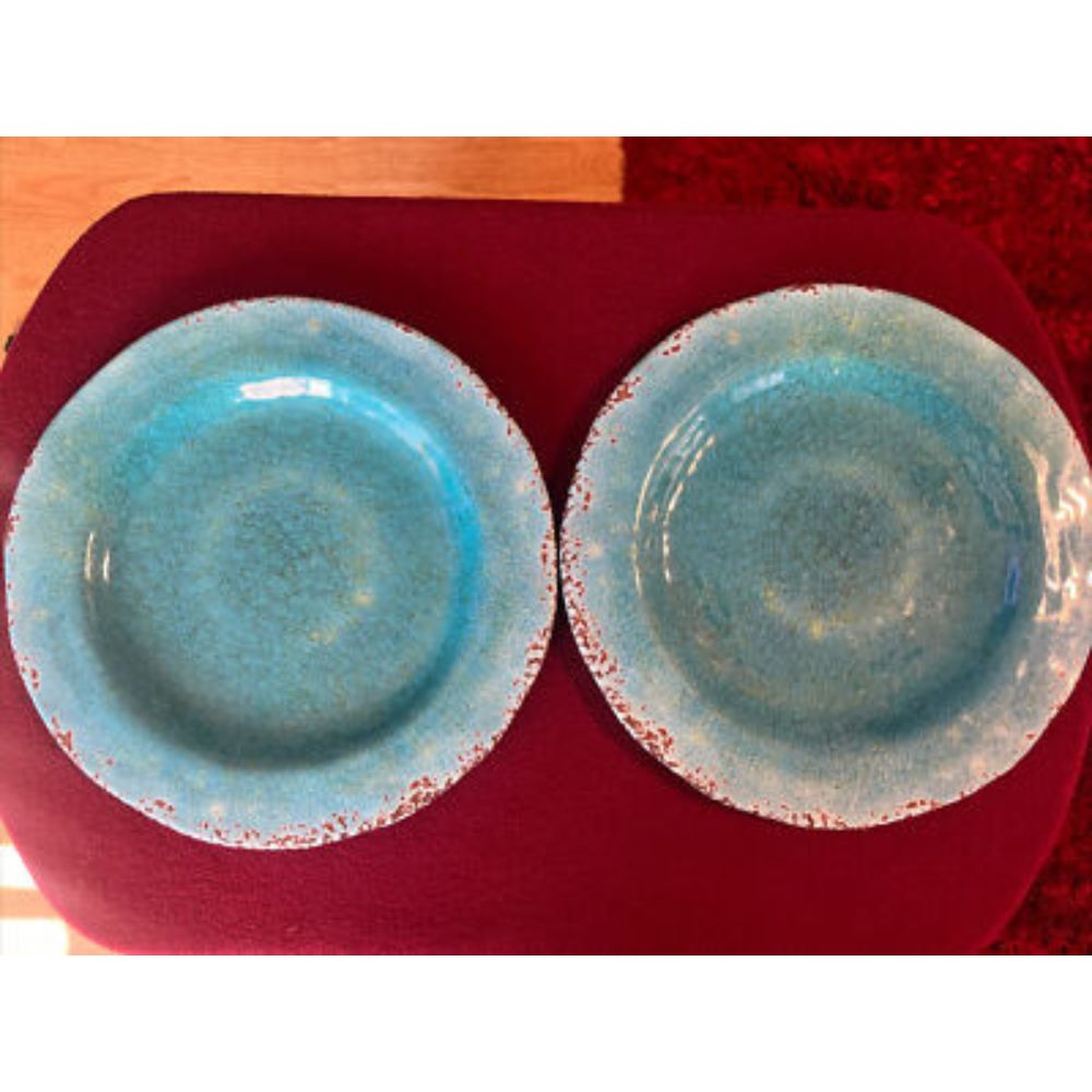 Unbreakable Melamine Serving Plates Set Stylish Finish Ideal for Catering Hotels Restaurants and Everyday Home Dining