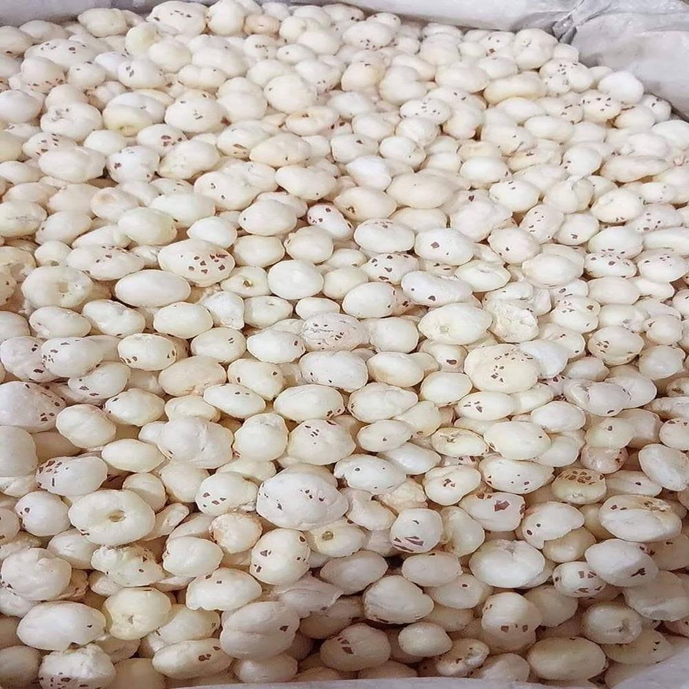 Fresh Makhana