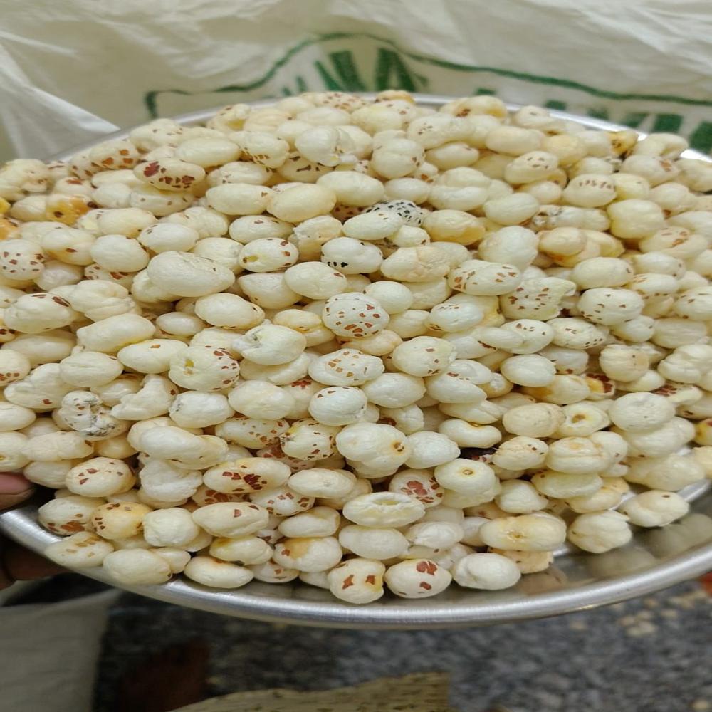 Fresh Makhana