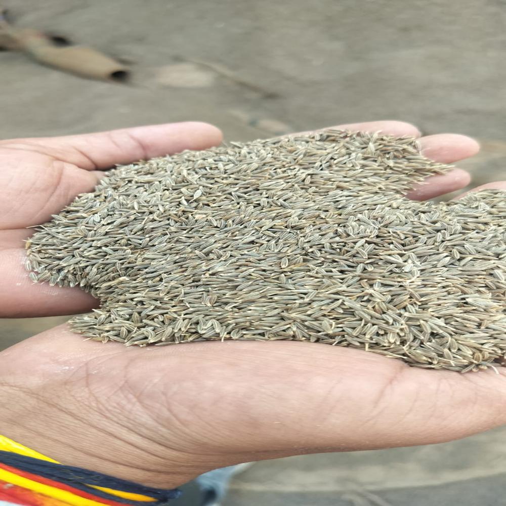 Cumin Seeds - Color: Brown