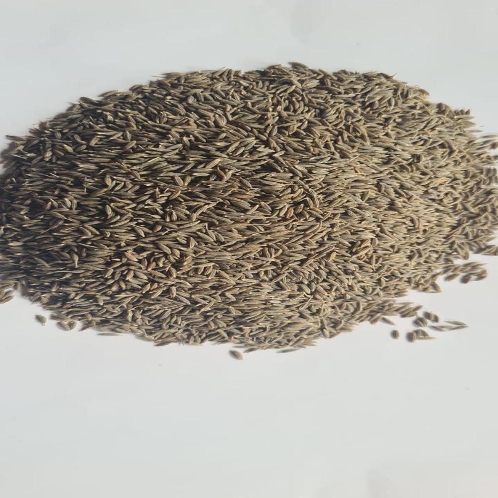 Cumin Seeds - Color: Brown