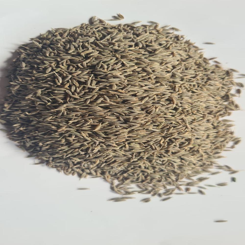 Cumin Seeds - Color: Brown