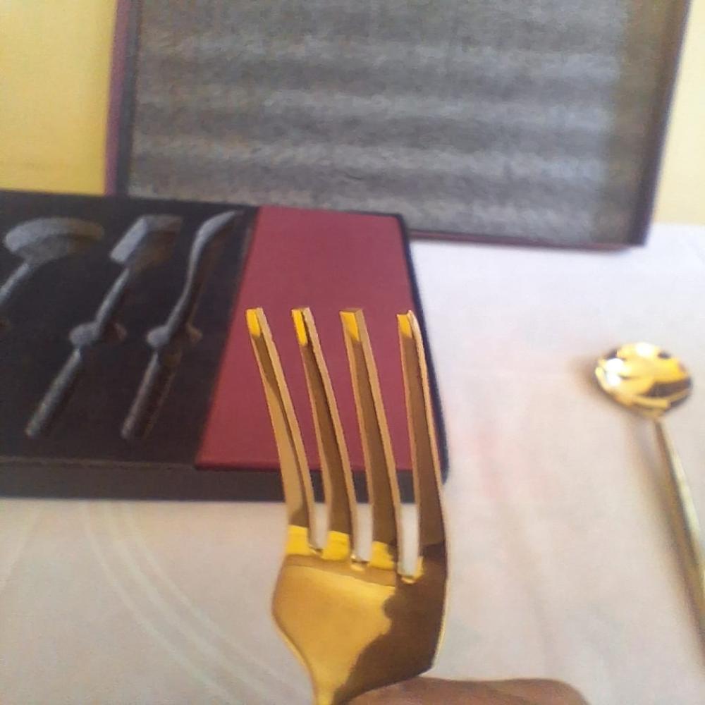 SS Cutlery Set Of 24 Gold PVD