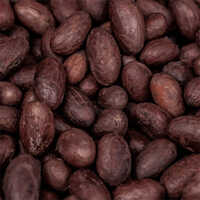Cocoa Beans