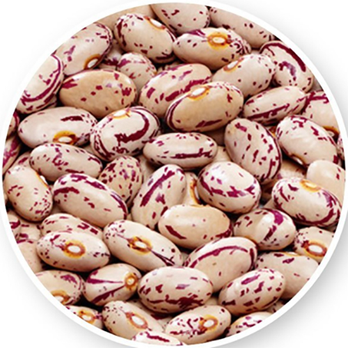 Kidney Beans