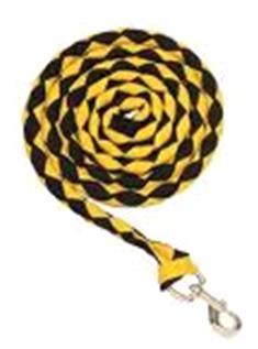 घोड़े के नेतृत्व रस्से