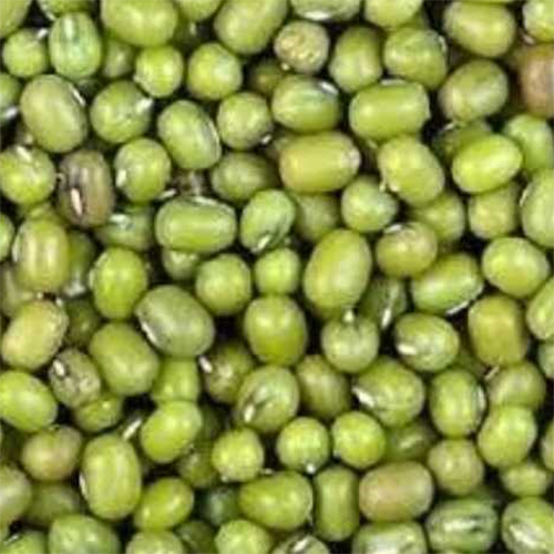 Green Lentils
