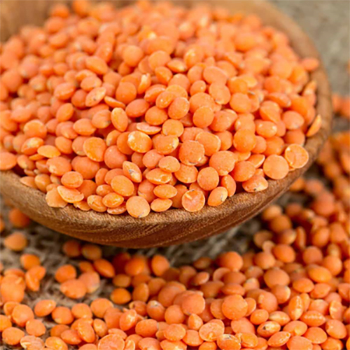 Red Lentils