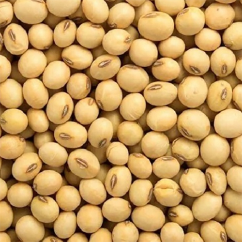 Soya Beans