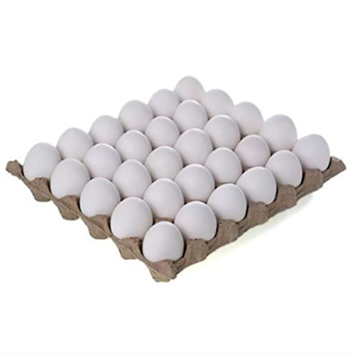 Table Eggs By AGRO KORN APS