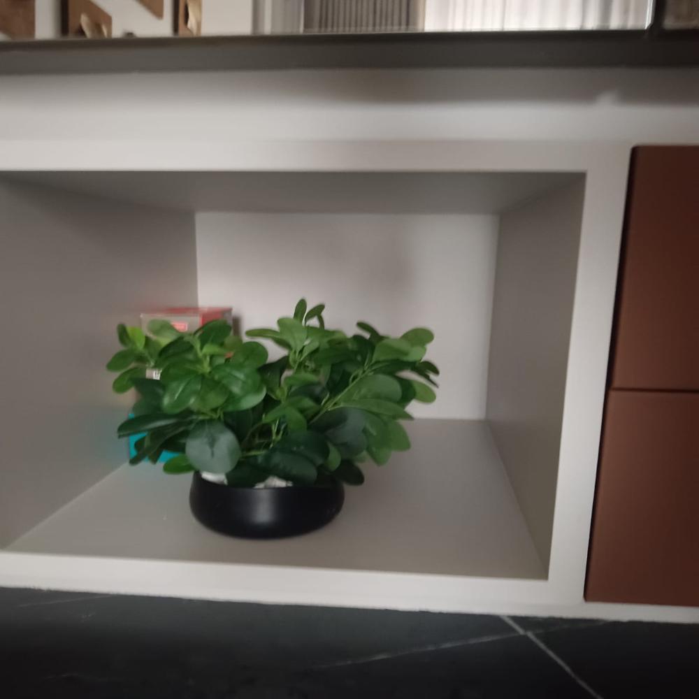 SG-SP-133 Flora Guards Ficus Plant