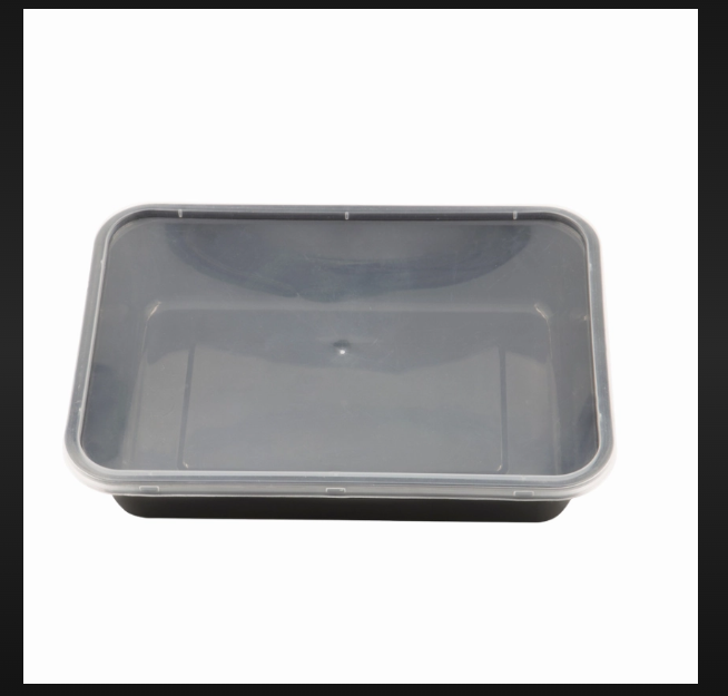 Plastic Container