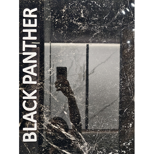 1600x3200 Black Panther Granite Slab