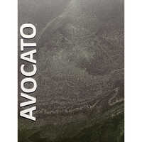 1600x3200 Avocato Granite Slab