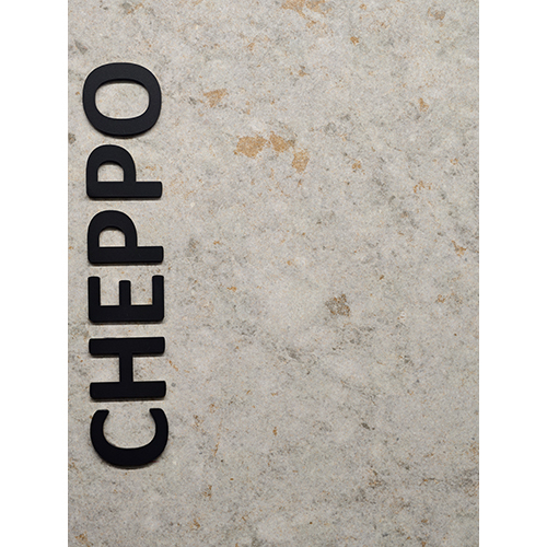 1600x3200 Cheppo Granite Slab