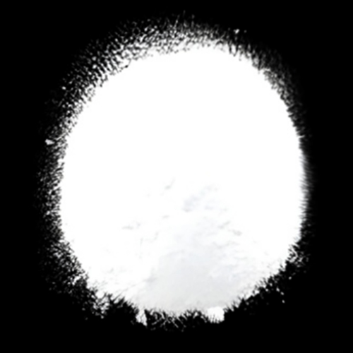 Zinc Silico Fluoride