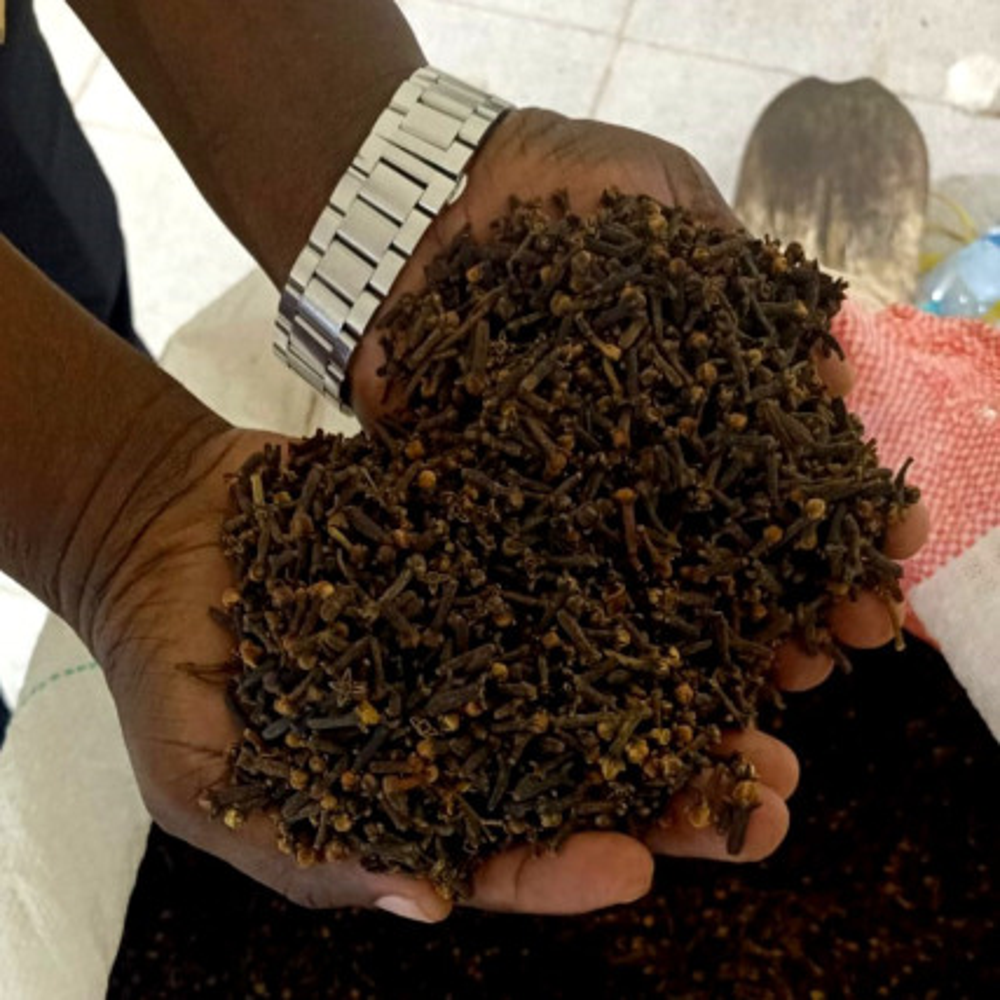 Dry Cloves - Color: Brown