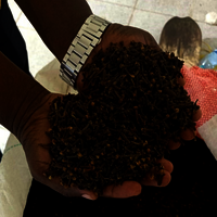 Dry Cloves - Color: Brown