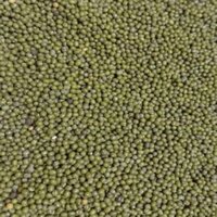 Green Gram,whole Green Gram,green Moong,moong Beans - Admixture (%): 0.5% Max
