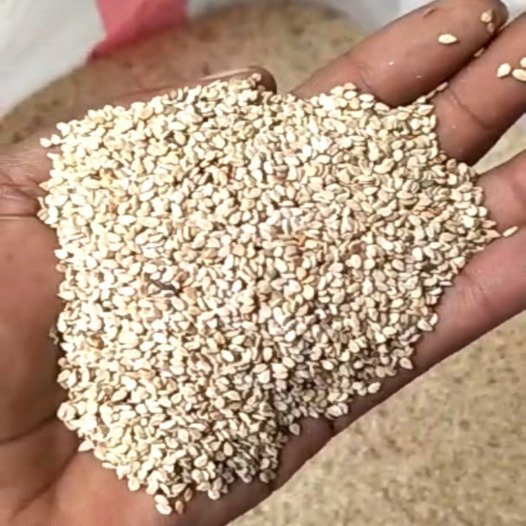 White Sesame Seeds