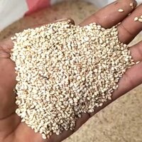 White Sesame Seeds - Admixture (%): 1% Max
