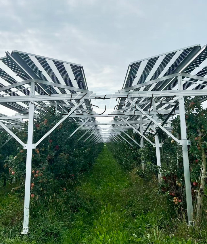 High Clearance Aluminum Solar Structure For Large Scale Solar Farm Projects Agri Pv Complementary Mounting System - Anodized Al6005-t5 Aluminum, Customizable 2.5-4.5m Clearance, Silver | Corrosion Resistant, Modular Design, Bolted Assembly, Wind & Snow Load Resistant