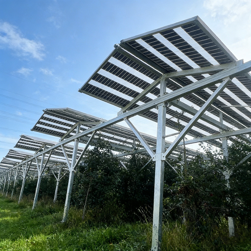 High Clearance Aluminum Solar Structure for Large Scale Solar Farm Projects Agri PV Complementary Mounting System