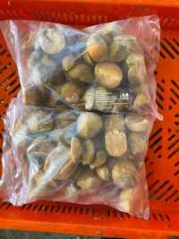 Frozen Chikki Slice
