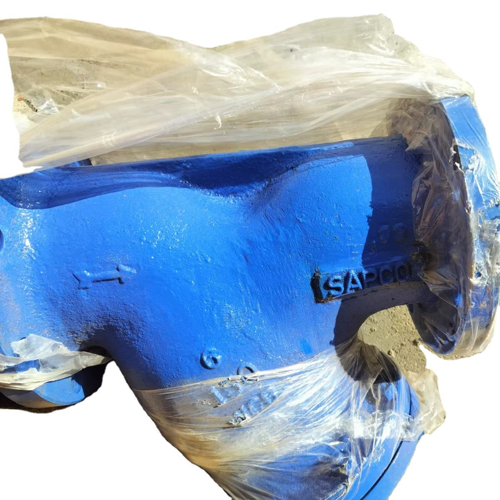 Stainless Steel Flanged End Y Type Strainer-25 NB Pipe Fittings Valves 