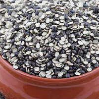 Ural Dal Powder