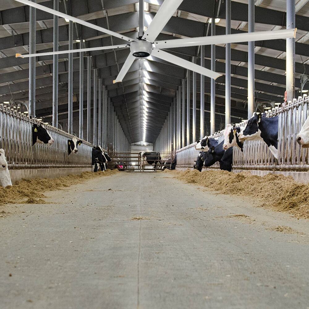 Colombia Manufacturing Plant 12ft 14ft 6 Blades 1.5KW Ceiling HVLS Fan for Kale Fans