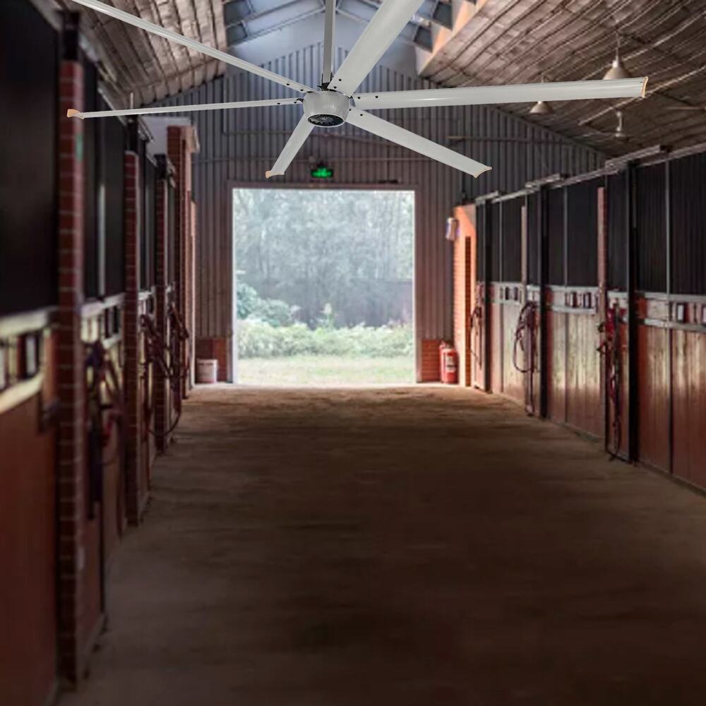 Colombia Manufacturing Plant 12ft 14ft 6 Blades 1.5KW Ceiling HVLS Fan for Kale Fans