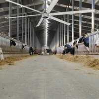 Wholesale 12ft 24ft Ceiling HVLS Motor Fan