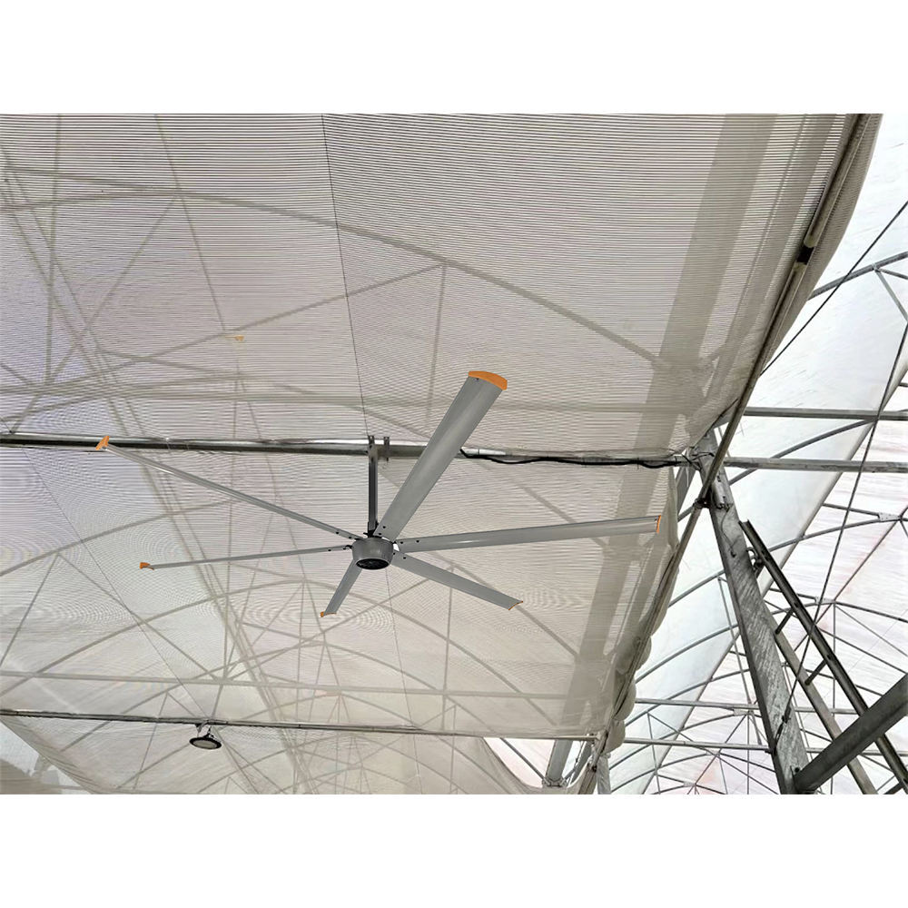Large Intelligent Smart Large Ceiling Fan