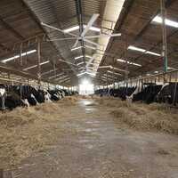 High Volume Low Speed 7.3m 12ft 24ft Chicken Warehouse HVLS Ceiling Fans