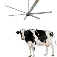 AMCLING 12ft 7.3m 1.1kw 220v PMSM PMAC High Volume Low Speed Commercial Jumbo Big Ceiling Hvls Fan
