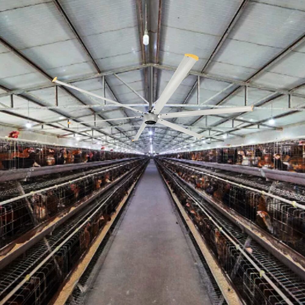 12ft 16ft 14ft 6 Blades 1500w Poultry Farms Ventilation Air Fans Cow House Large Big HVLS Fans