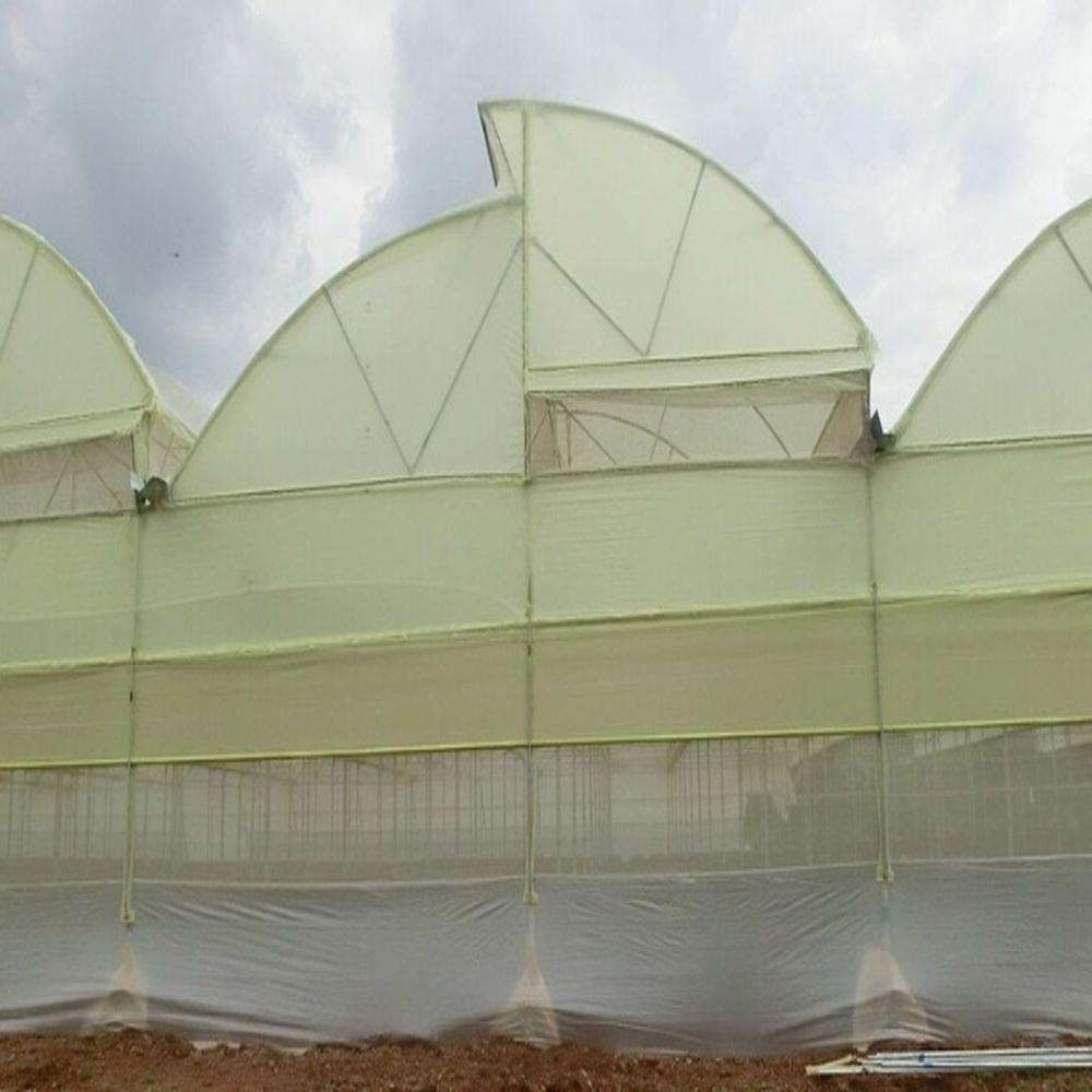 Polyhouse/ Greenhouse