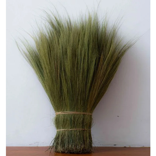 Broom Grass