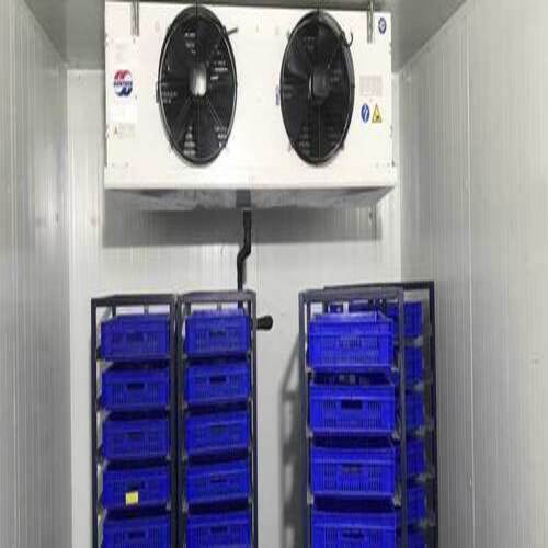 Plasma Freezer - Capacity: As Per Requirement Kg