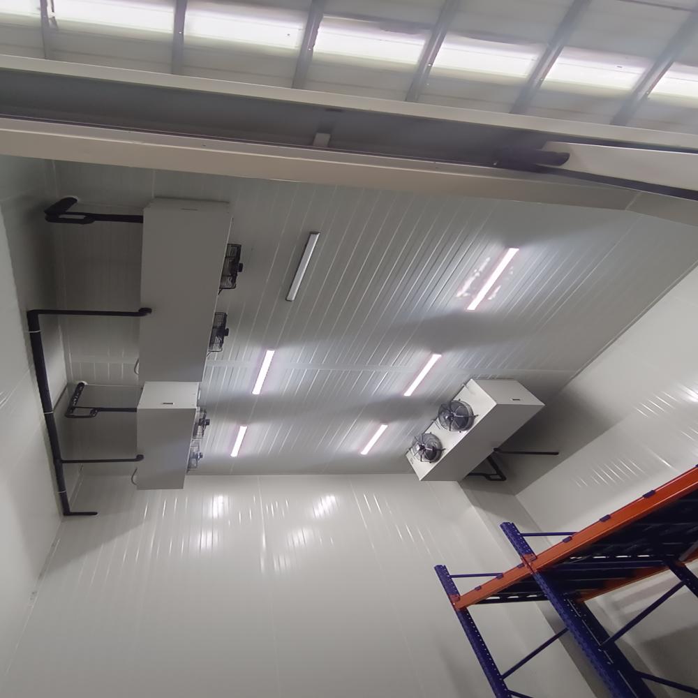 Cold Storage Rooms - Body Material: As Per Requirement