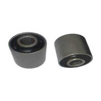 GA-SBP-12 Foundation Bush Jupiter